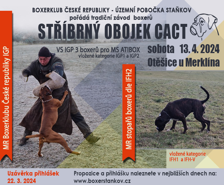 Stříbrný obojek CACT 2024