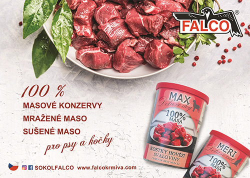 www.sokolfalco.com
